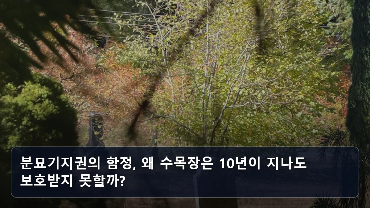 분묘기지권의 함정, 왜 수목장은 10년이 지나도 보호받지 못할까? 관련 이미지