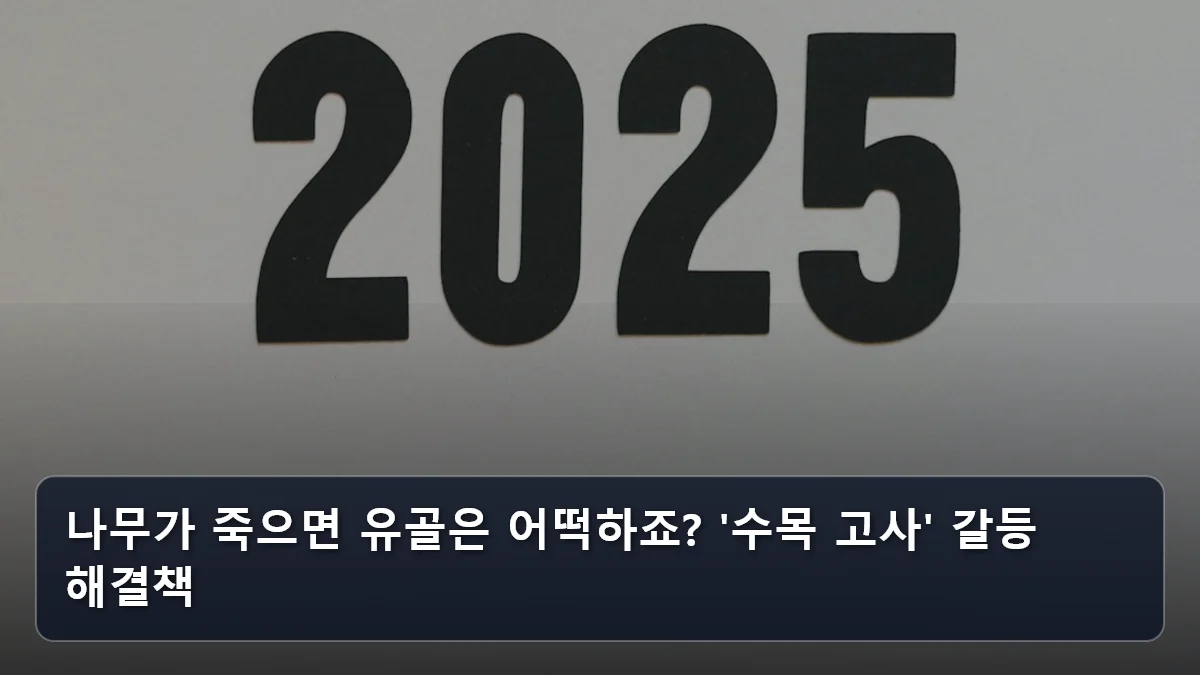 나무가 죽으면 유골은 어떡하죠? '수목 고사' 갈등 해결책 관련 이미지