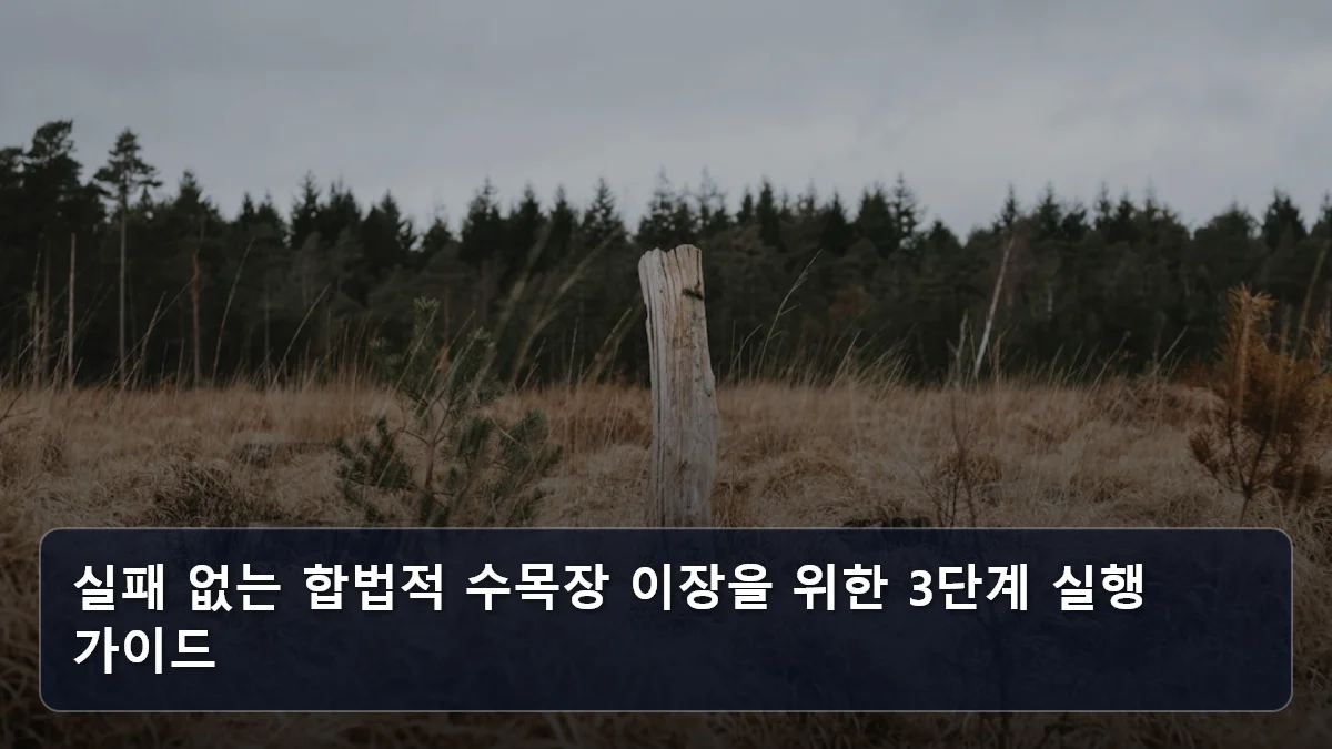 실패 없는 합법적 수목장 이장을 위한 3단계 실행 가이드 관련 이미지