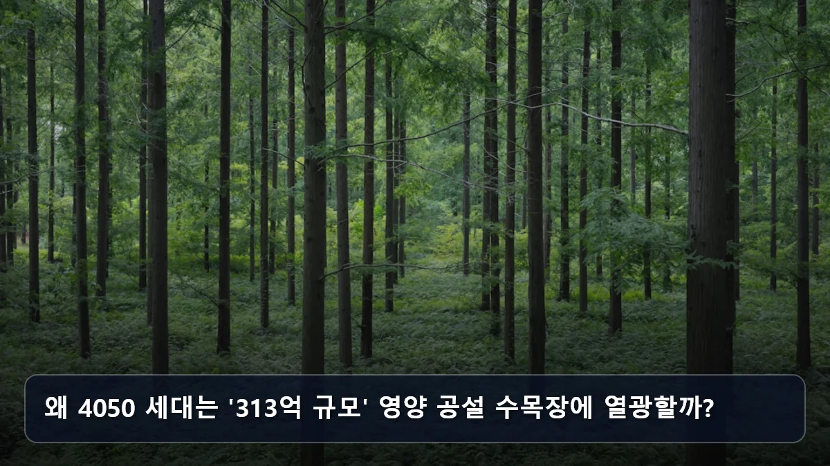 왜 4050 세대는 '313억 규모' 영양 공설 수목장에 열광할까? 관련 이미지