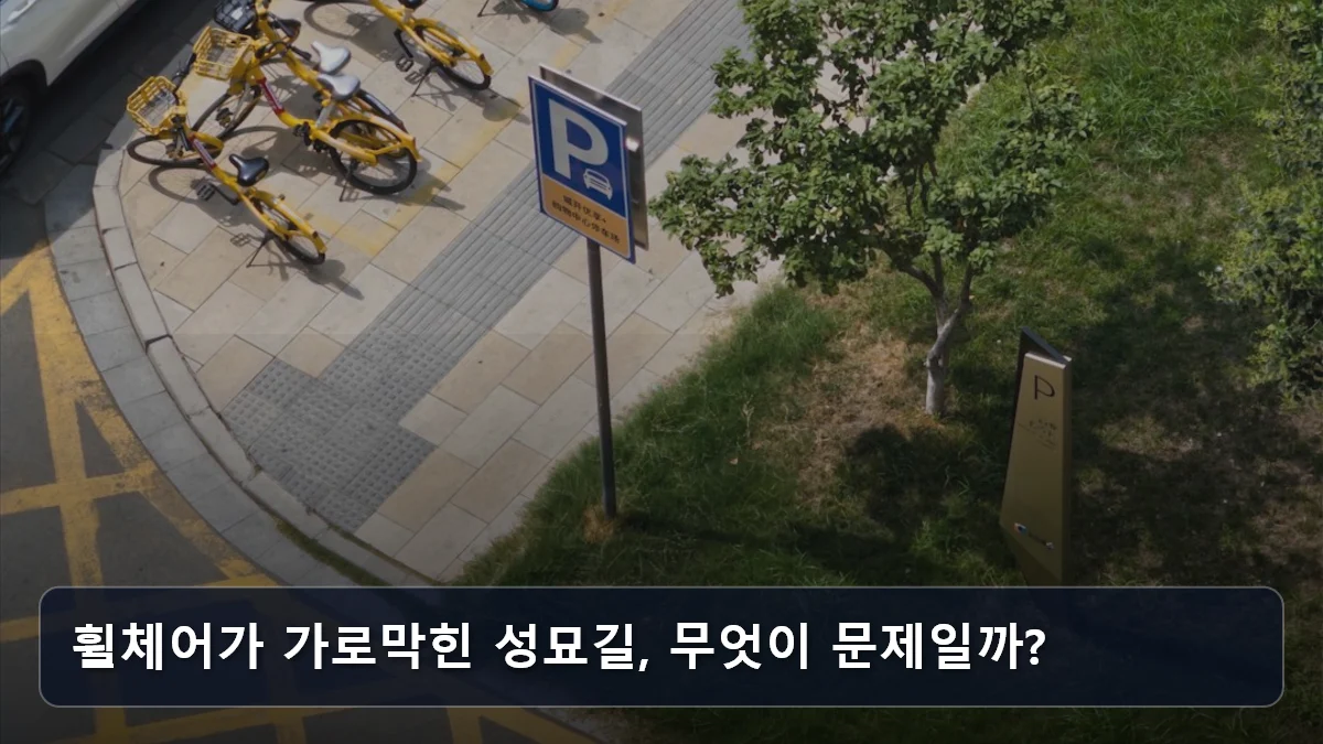휠체어가 가로막힌 성묘길, 무엇이 문제일까? 관련 이미지