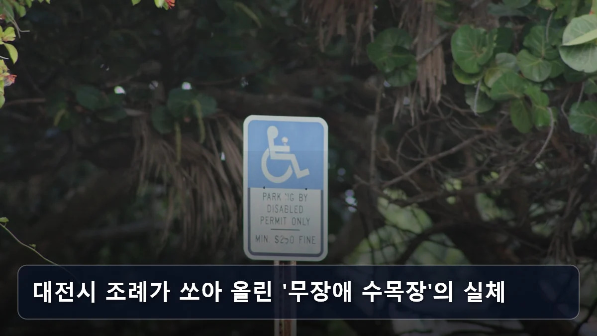 대전시 조례가 쏘아 올린 '무장애 수목장'의 실체 관련 이미지