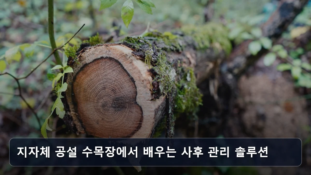 지자체 공설 수목장에서 배우는 사후 관리 솔루션 관련 이미지