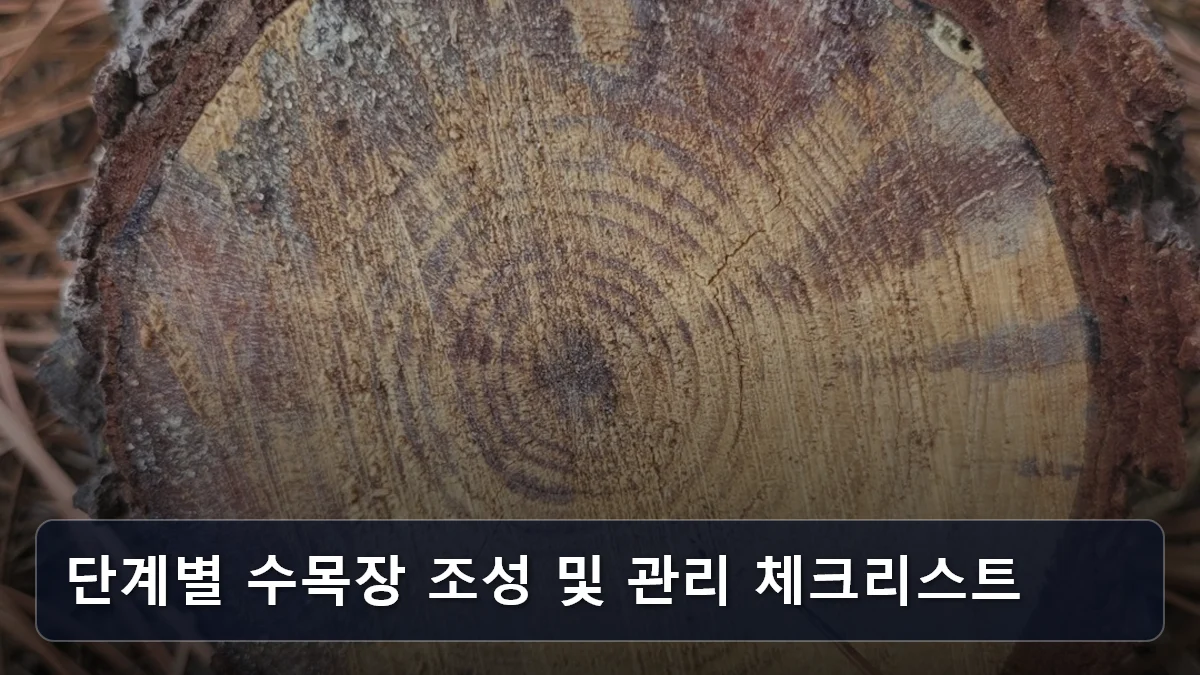 단계별 수목장 조성 및 관리 체크리스트 관련 이미지