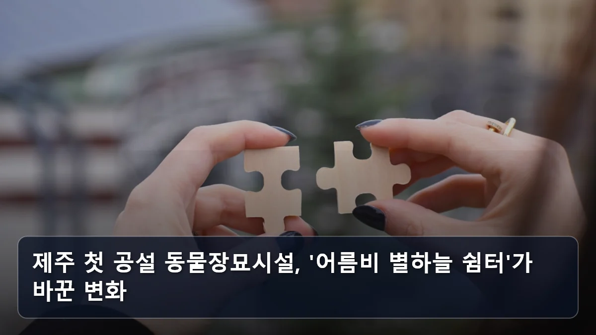 제주 첫 공설 동물장묘시설, '어름비 별하늘 쉼터'가 바꾼 변화 관련 이미지