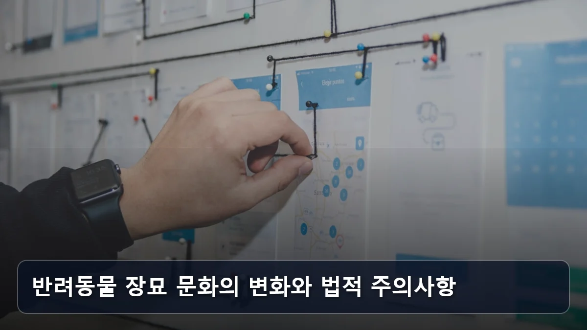 반려동물 장묘 문화의 변화와 법적 주의사항 관련 이미지