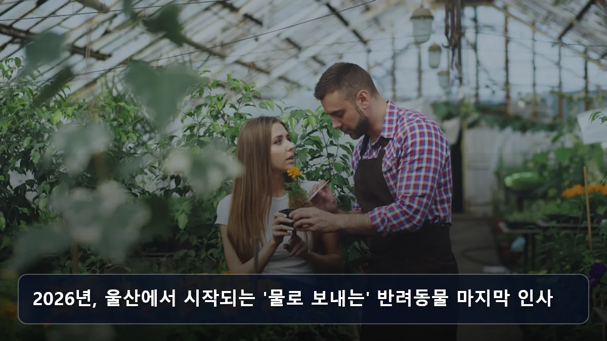 2026년, 울산에서 시작되는 '물로 보내는' 반려동물 마지막 인사 관련 이미지