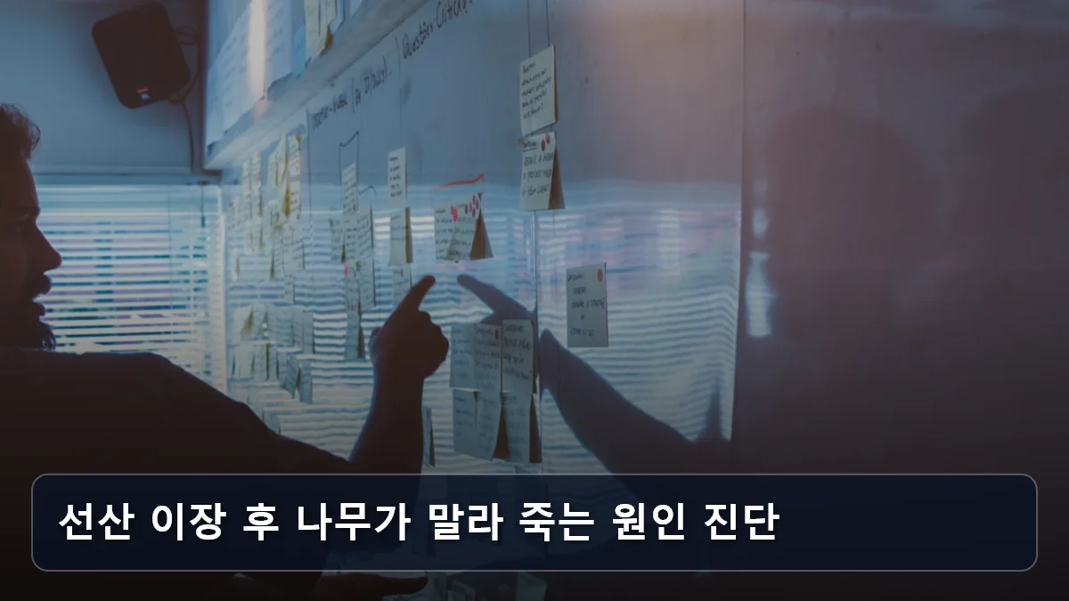 선산 이장 후 나무가 말라 죽는 원인 진단 관련 이미지