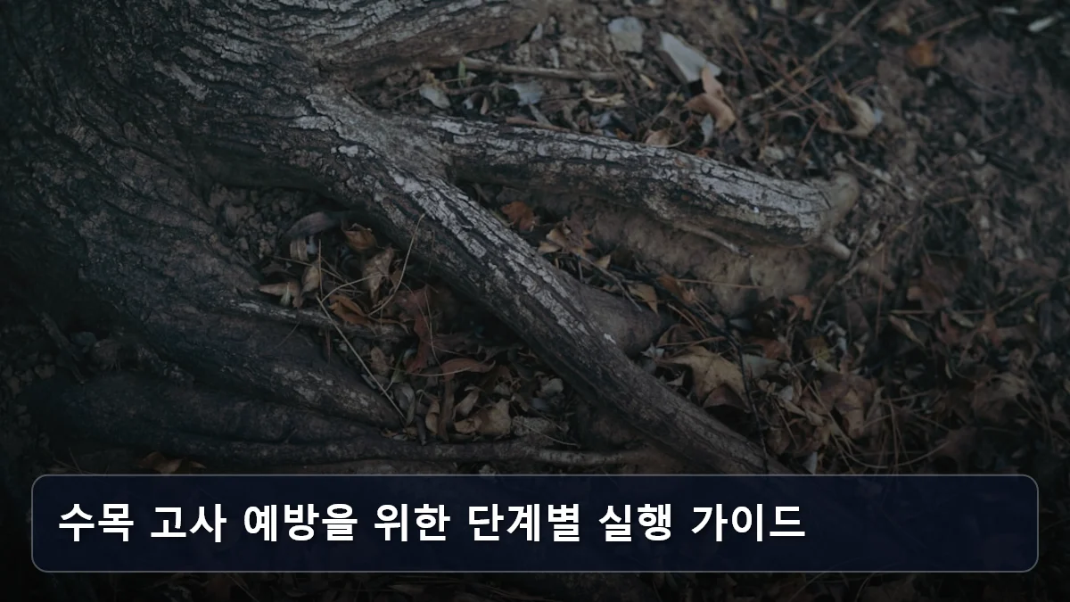 수목 고사 예방을 위한 단계별 실행 가이드 관련 이미지
