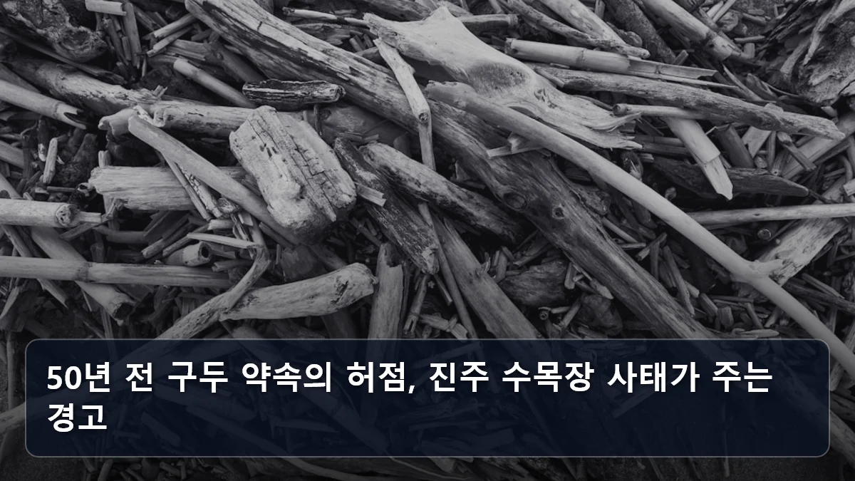 50년 전 구두 약속의 허점, 진주 수목장 사태가 주는 경고 관련 이미지