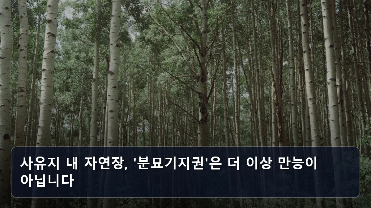 사유지 내 자연장, '분묘기지권'은 더 이상 만능이 아닙니다 관련 이미지