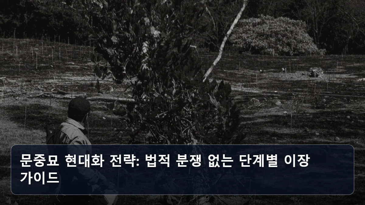 문중묘 현대화 전략: 법적 분쟁 없는 단계별 이장 가이드 관련 이미지