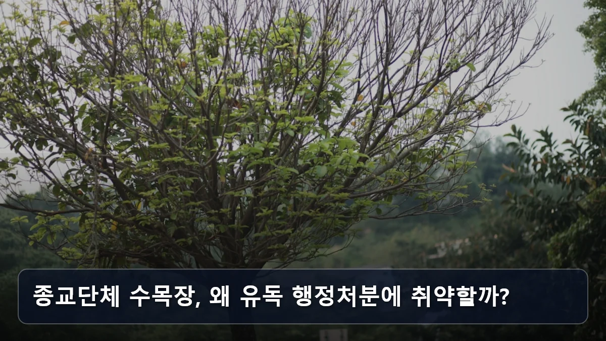 종교단체 수목장, 왜 유독 행정처분에 취약할까? 관련 이미지