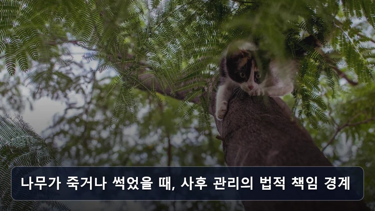 나무가 죽거나 썩었을 때, 사후 관리의 법적 책임 경계 관련 이미지