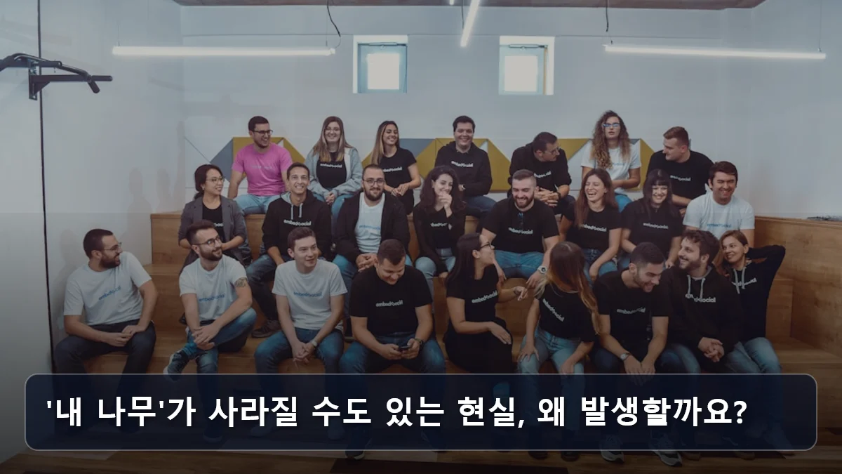 '내 나무'가 사라질 수도 있는 현실, 왜 발생할까요? 관련 이미지