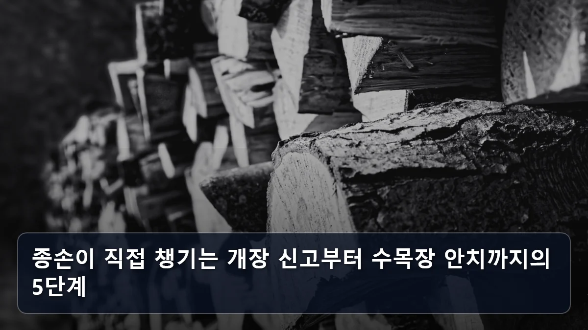종손이 직접 챙기는 개장 신고부터 수목장 안치까지의 5단계 관련 이미지