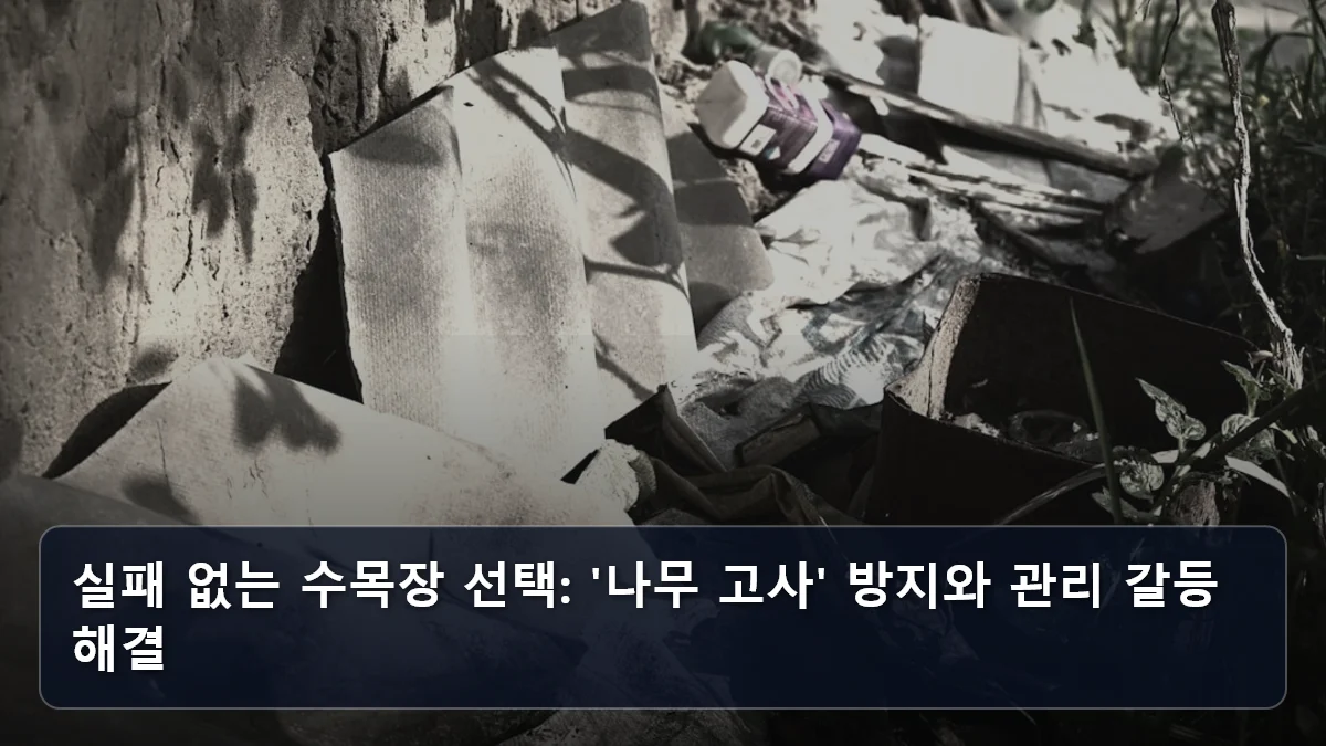 실패 없는 수목장 선택: '나무 고사' 방지와 관리 갈등 해결 관련 이미지