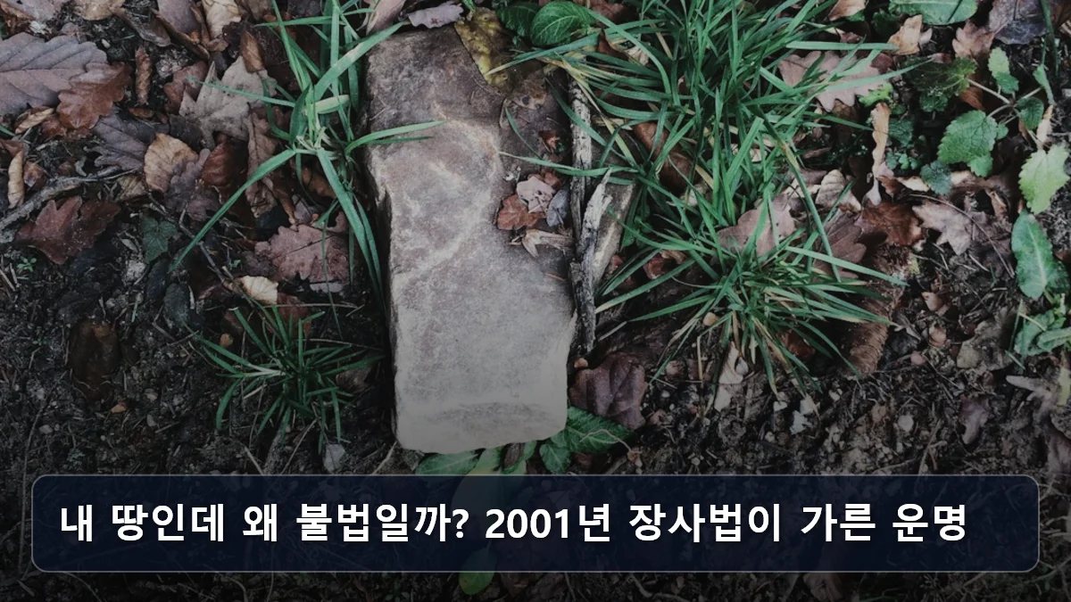 내 땅인데 왜 불법일까? 2001년 장사법이 가른 운명 관련 이미지