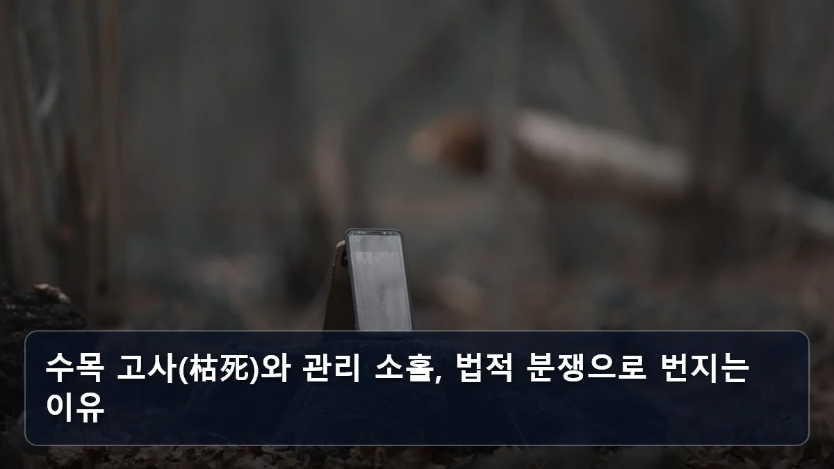 수목 고사(枯死)와 관리 소홀, 법적 분쟁으로 번지는 이유 관련 이미지