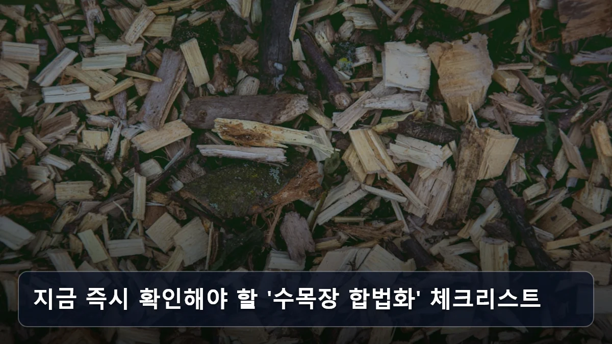 지금 즉시 확인해야 할 '수목장 합법화' 체크리스트 관련 이미지