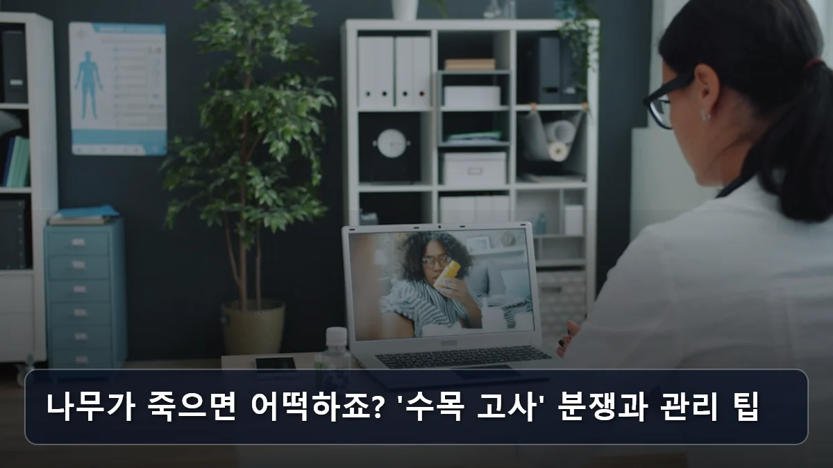 나무가 죽으면 어떡하죠? '수목 고사' 분쟁과 관리 팁 관련 이미지