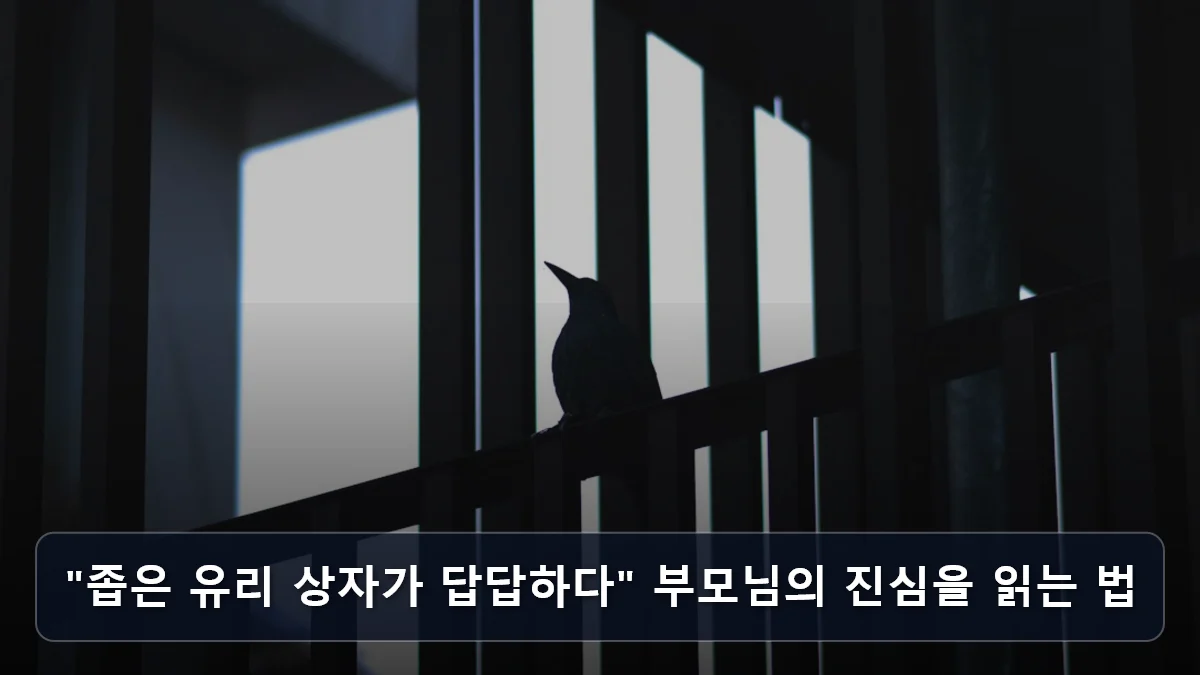 "좁은 유리 상자가 답답하다" 부모님의 진심을 읽는 법 관련 이미지