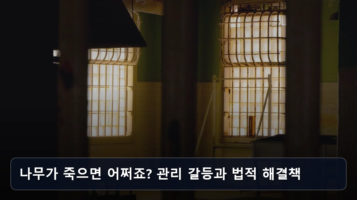 나무가 죽으면 어쩌죠? 관리 갈등과 법적 해결책 관련 이미지