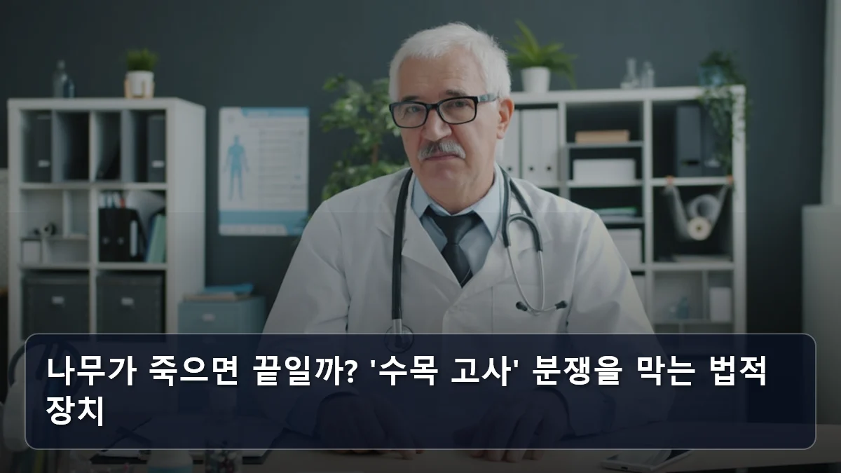 나무가 죽으면 끝일까? '수목 고사' 분쟁을 막는 법적 장치 관련 이미지