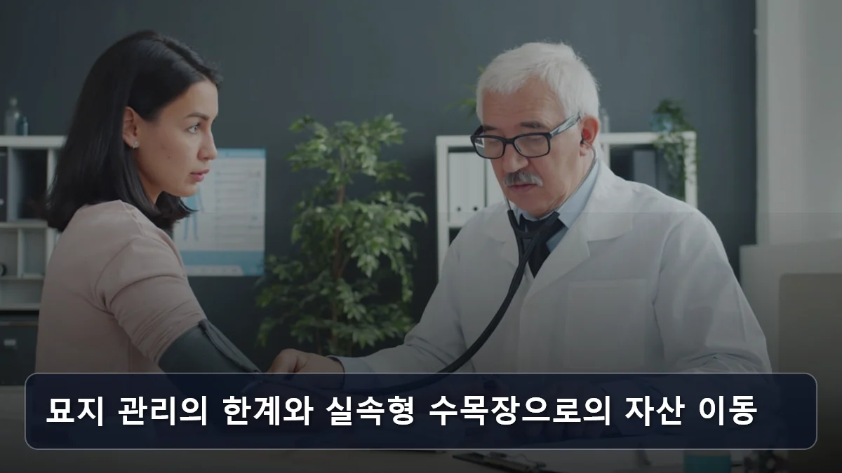 묘지 관리의 한계와 실속형 수목장으로의 자산 이동 관련 이미지