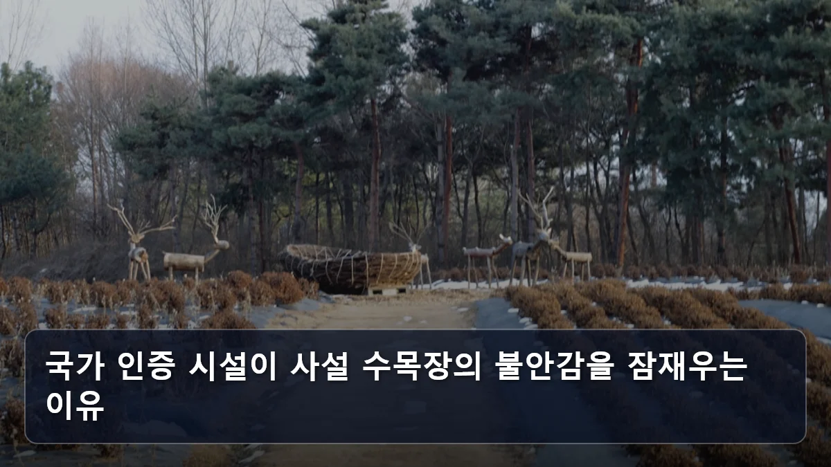 국가 인증 시설이 사설 수목장의 불안감을 잠재우는 이유 관련 이미지