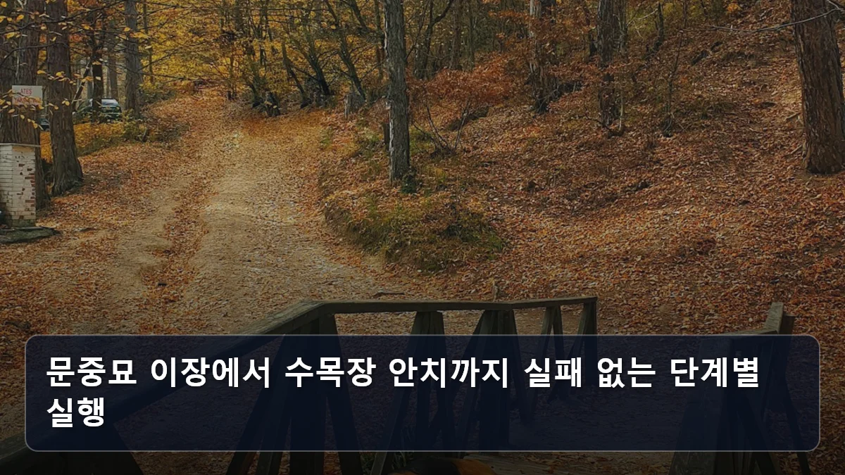 문중묘 이장에서 수목장 안치까지 실패 없는 단계별 실행 관련 이미지