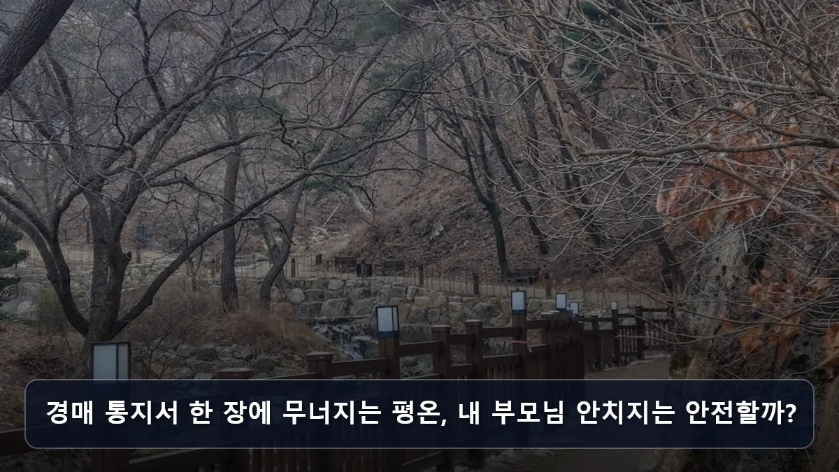 경매 통지서 한 장에 무너지는 평온, 내 부모님 안치지는 안전할까? 관련 이미지