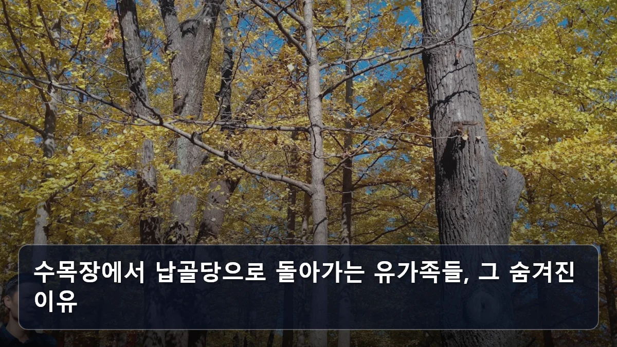 수목장에서 납골당으로 돌아가는 유가족들, 그 숨겨진 이유 관련 이미지