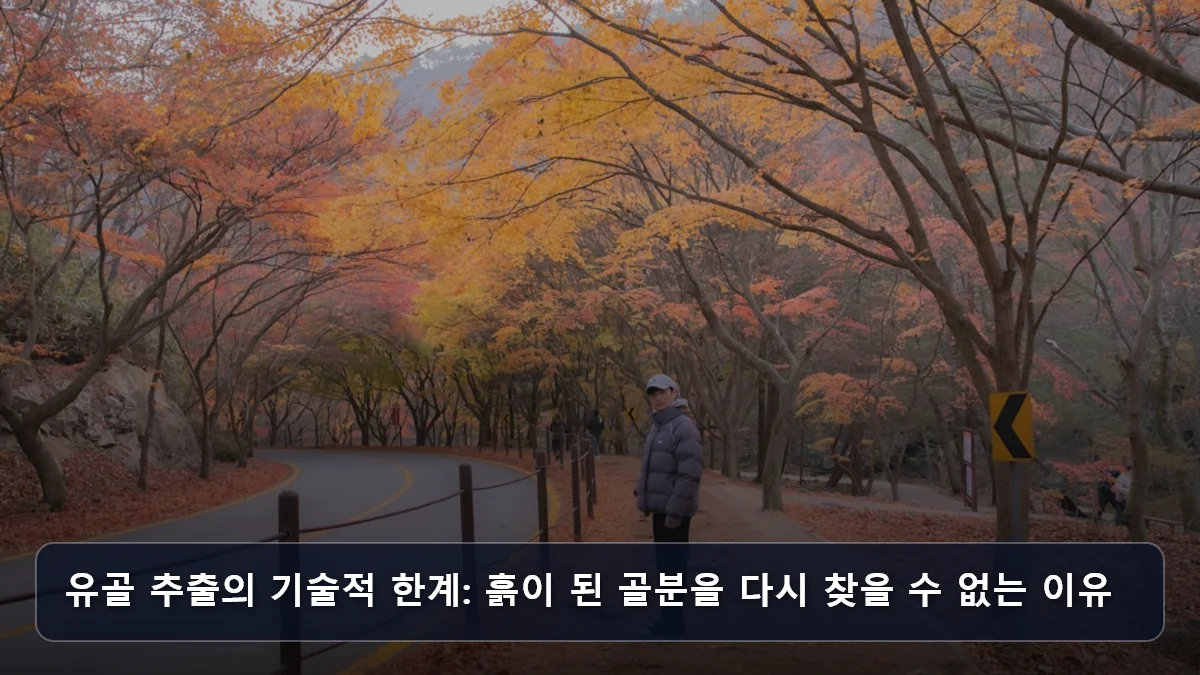 유골 추출의 기술적 한계: 흙이 된 골분을 다시 찾을 수 없는 이유 관련 이미지