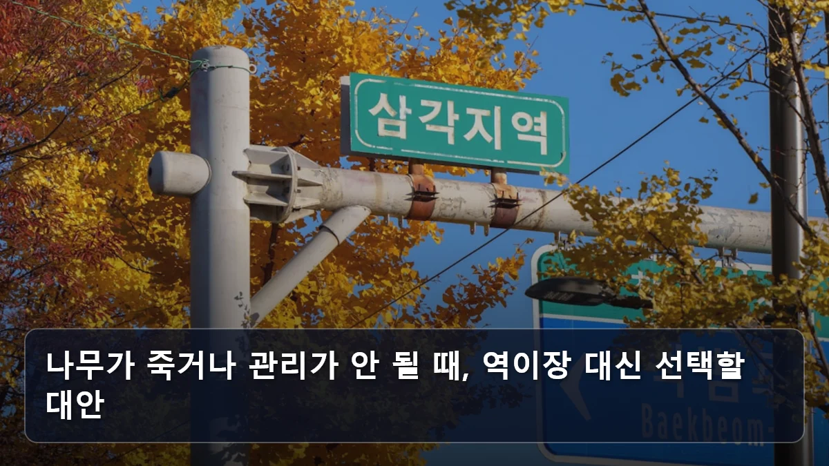 나무가 죽거나 관리가 안 될 때, 역이장 대신 선택할 대안 관련 이미지