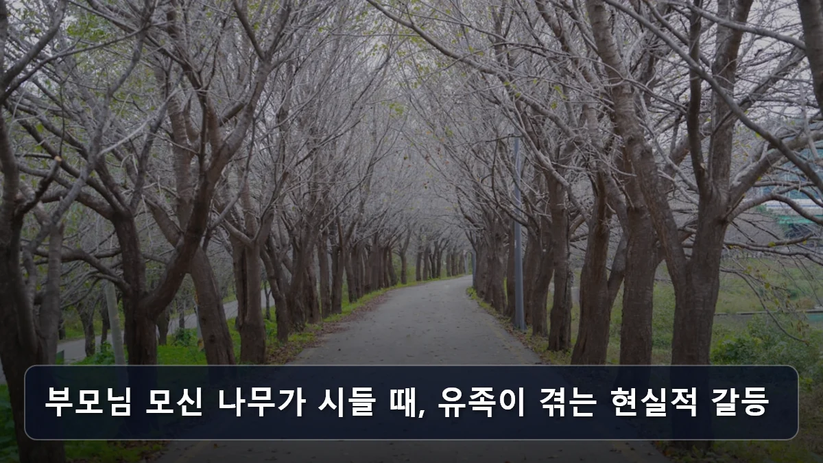 부모님 모신 나무가 시들 때, 유족이 겪는 현실적 갈등 관련 이미지