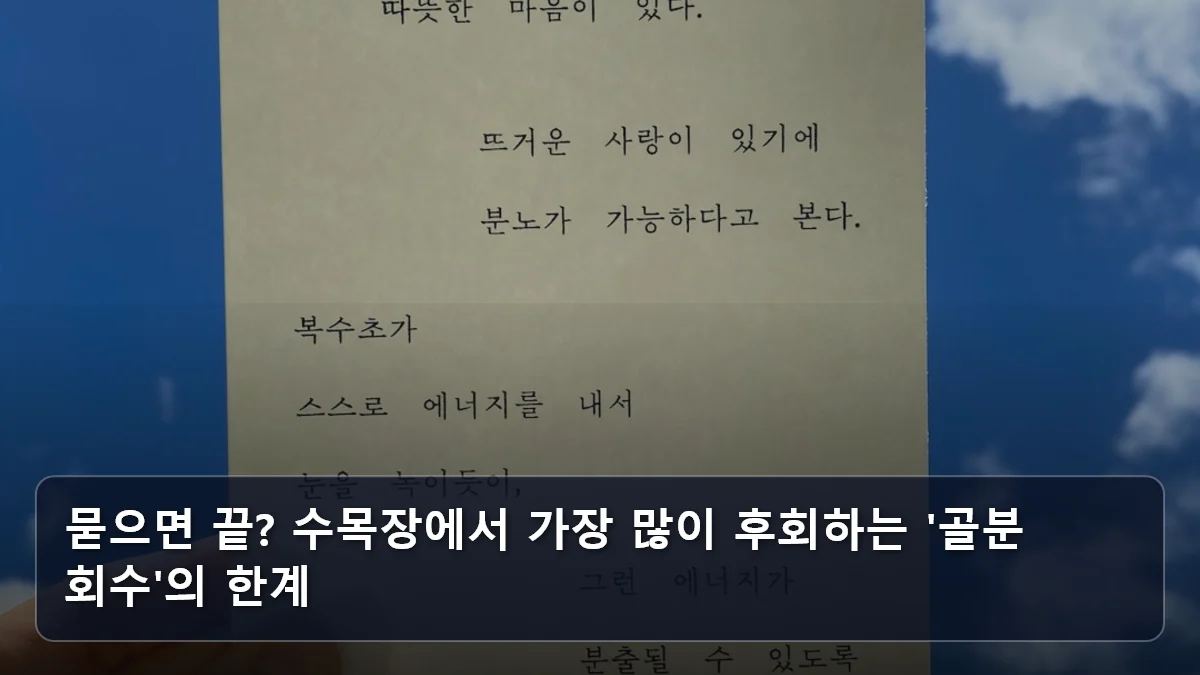 묻으면 끝? 수목장에서 가장 많이 후회하는 '골분 회수'의 한계 관련 이미지