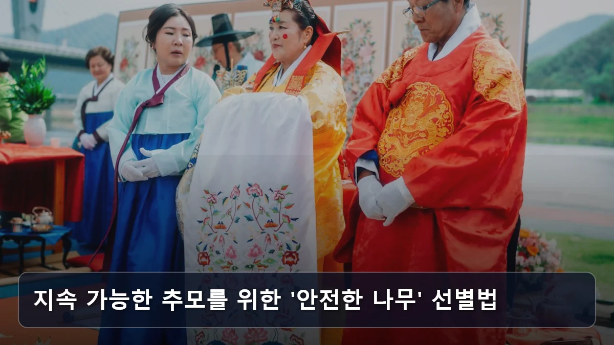 지속 가능한 추모를 위한 '안전한 나무' 선별법 관련 이미지